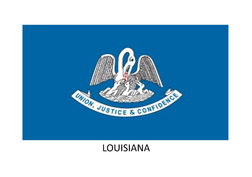 Louisiana Insurance Agency Changes to Licenses