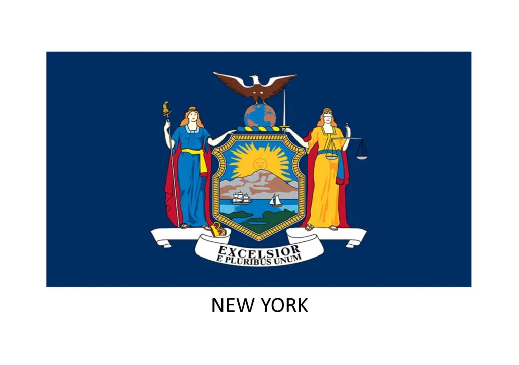 New York Insurance Agency Changes to Lender License