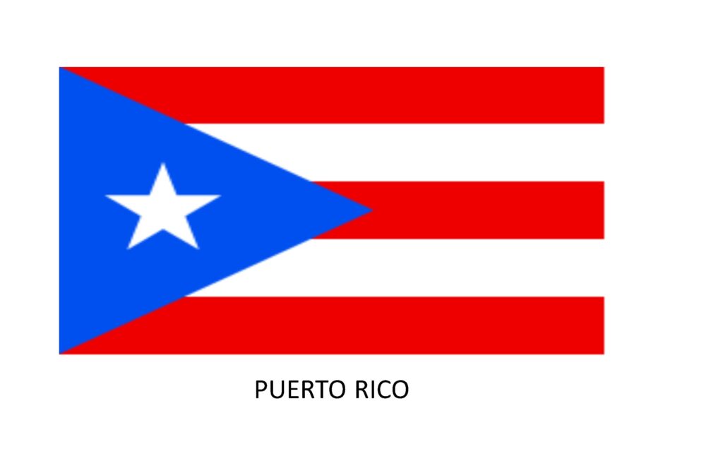 Puerto Rico Insurance Agency Changes to Lender License
