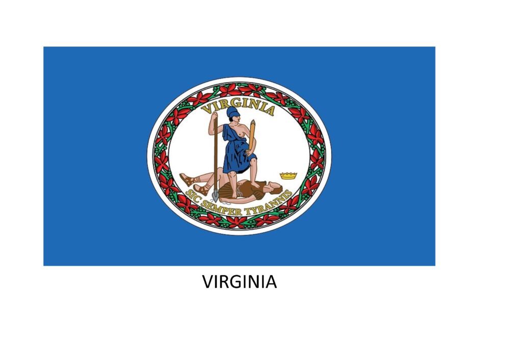 Virginia Insurance Agency Changes to Lender License